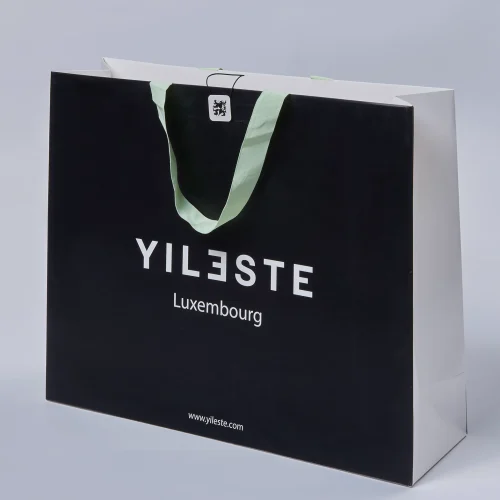 From Function to Fashion: The Evolution of Paper Bag Packaging - Image 3